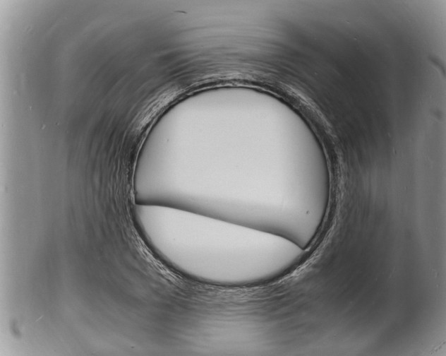X0000102780977200808180927