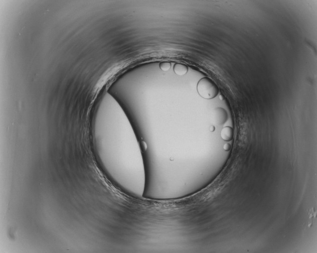 X0000102780978200808180927