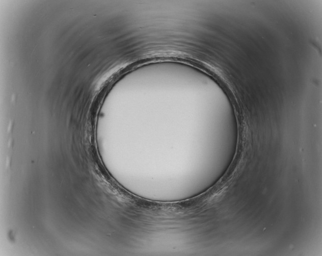 X0000102780979200808180927
