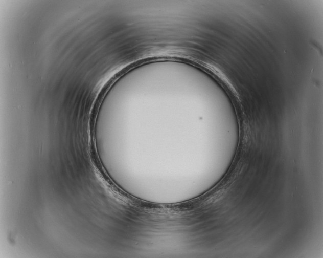 X0000102780980200808180927