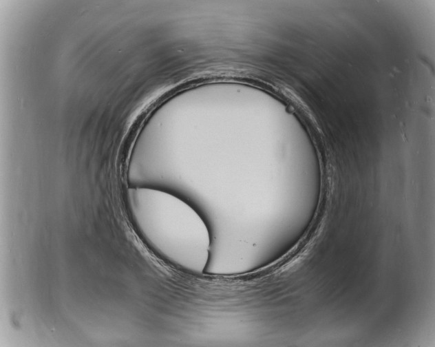 X0000102780981200808180927