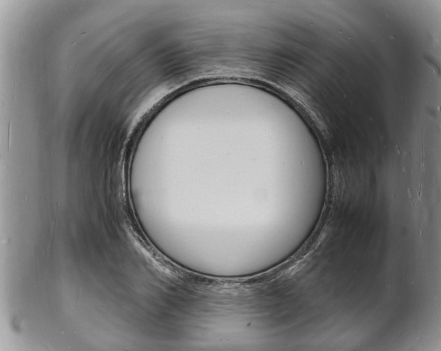 X0000102780982200808180927
