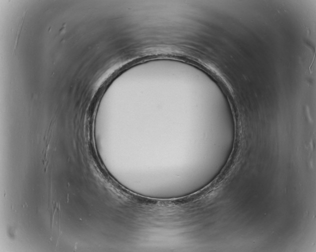 X0000102780983200808180927