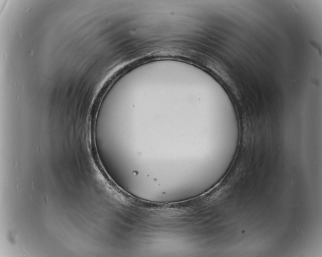 X0000102780984200808180927