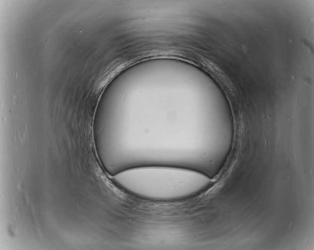 X0000102780985200808180927
