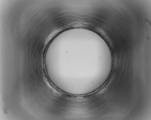 X0000102780986200808180927