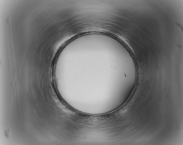 X0000102780987200808180927