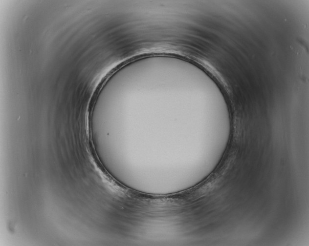 X0000102780988200808180927
