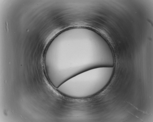 X0000102780990200808180927