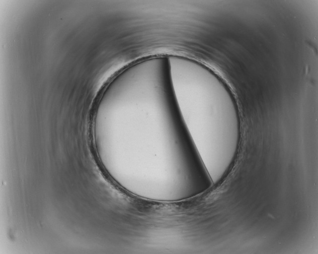 X0000102780991200808180927