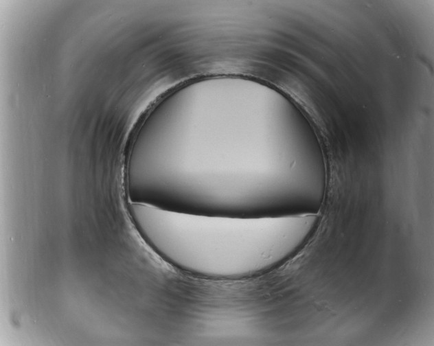 X0000102780992200808180927