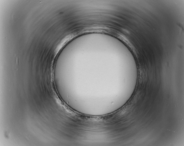 X0000102780994200808180927