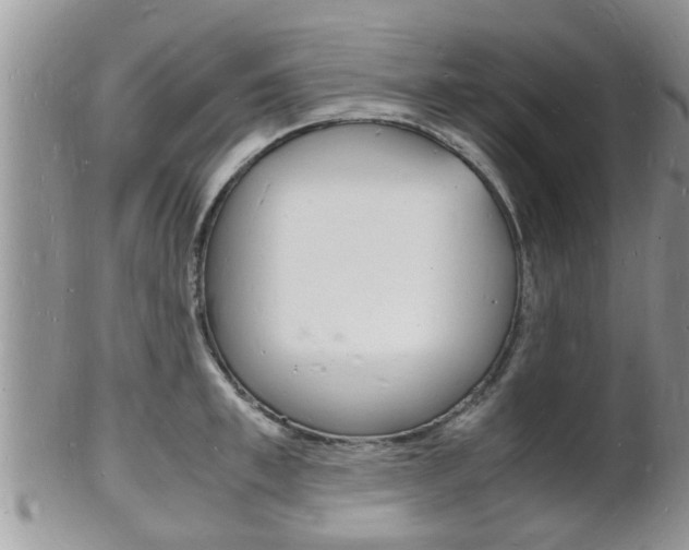 X0000102780997200808180927