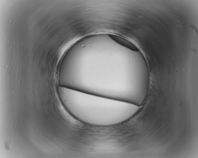 X0000102781003200808180927