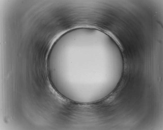 X0000102781004200808180927