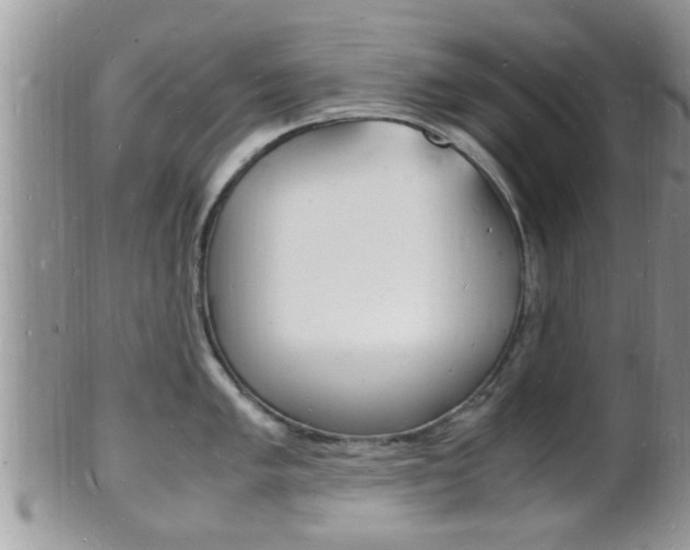 X0000102781005200808180927