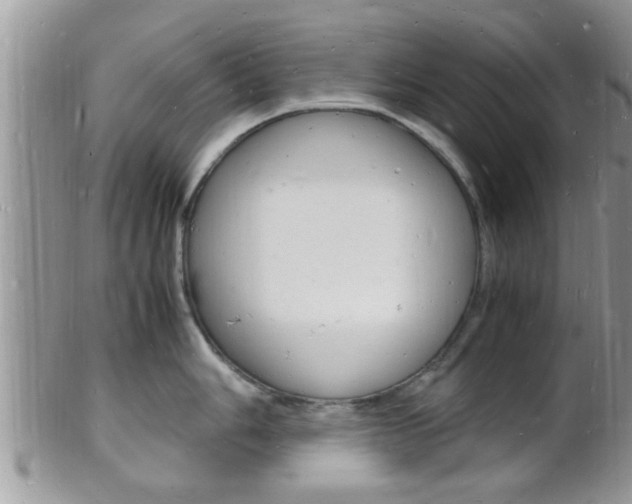 X0000102781006200808180927