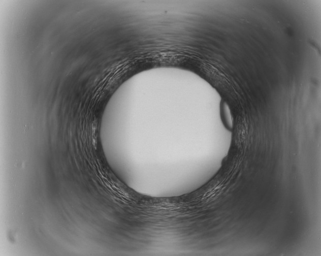 X0000102781010200808180926