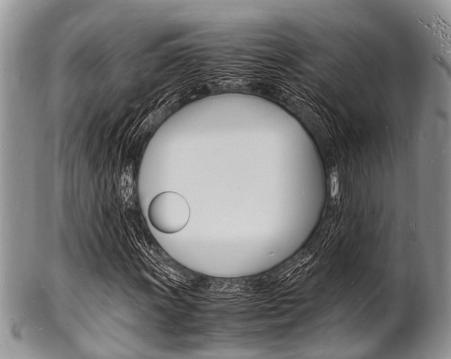 X0000102781011200808180926