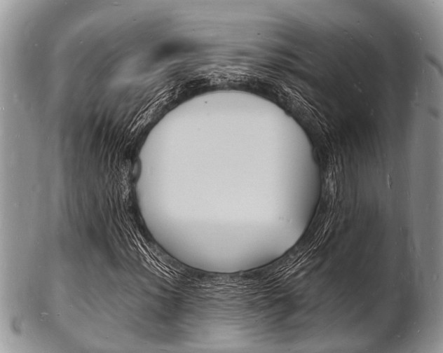 X0000102781012200808180926