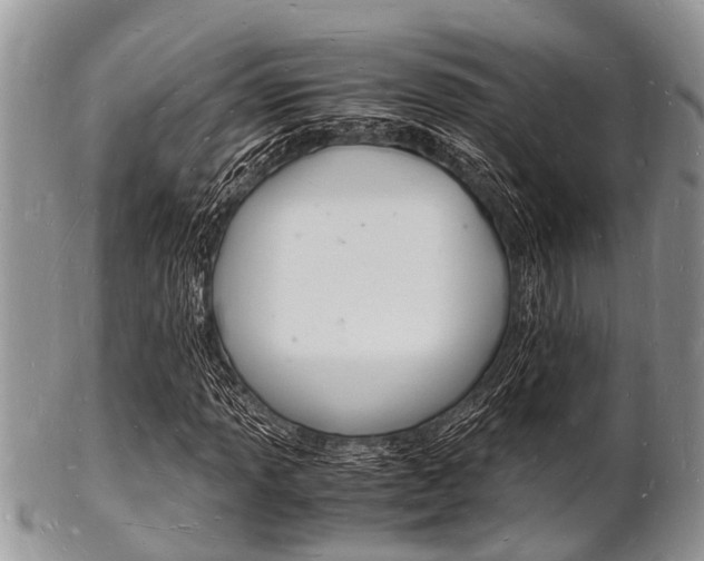 X0000102781013200808180926