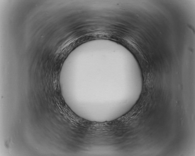 X0000102781015200808180926