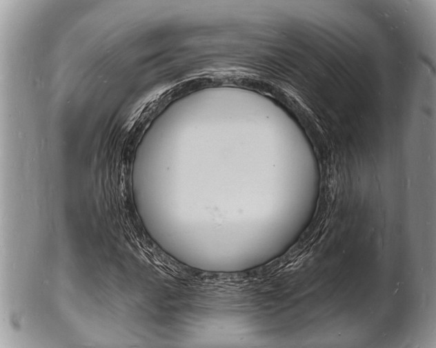 X0000102781016200808180926