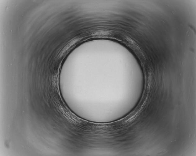 X0000102781017200808180926