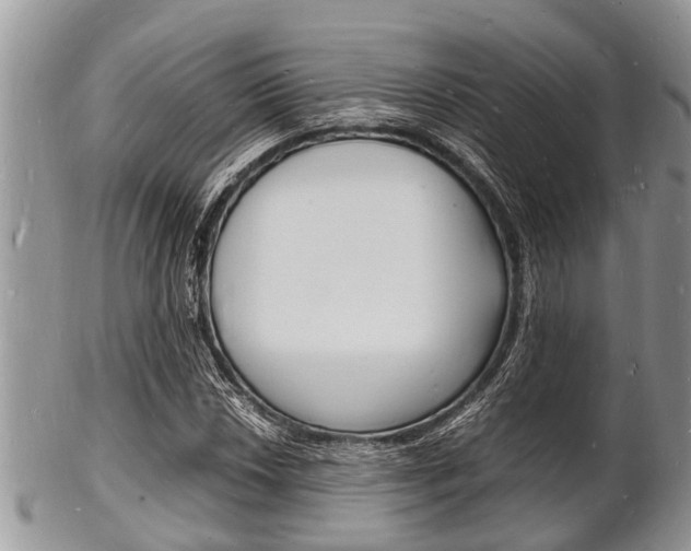 X0000102781018200808180926