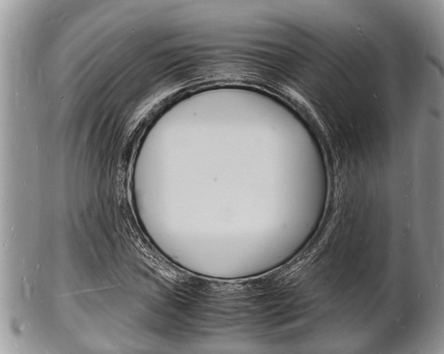 X0000102781019200808180926