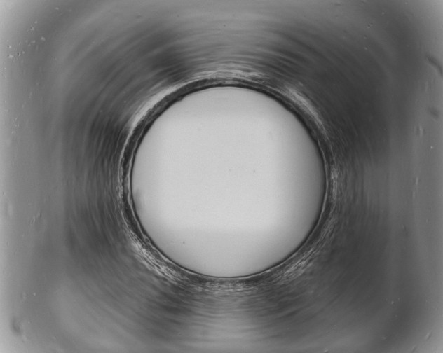 X0000102781020200808180926