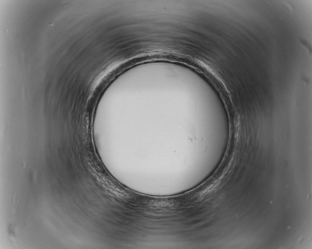 X0000102781021200808180926