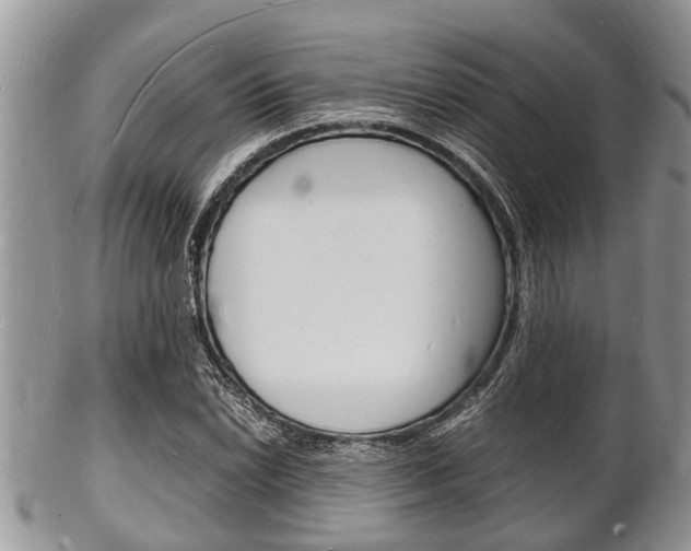 X0000102781022200808180926