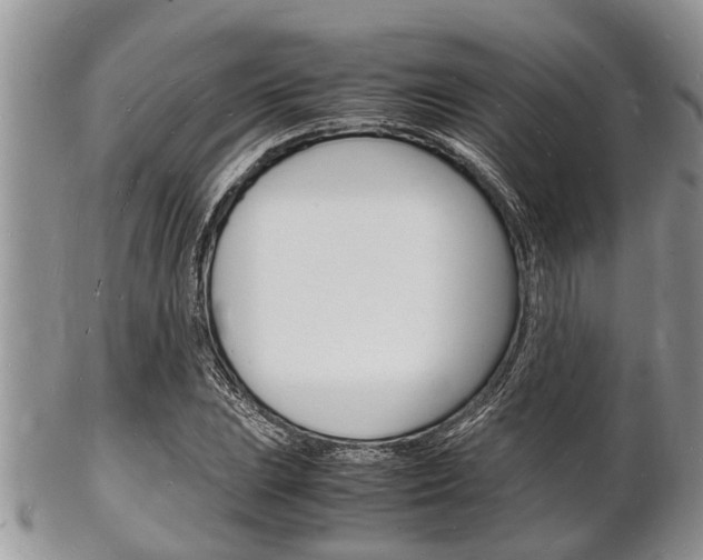 X0000102781023200808180926