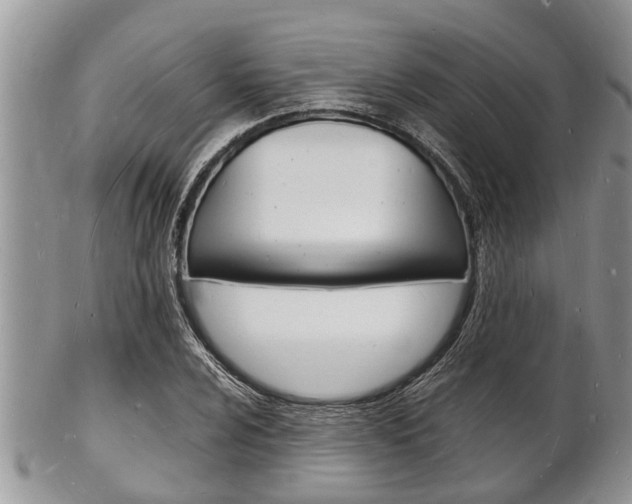 X0000102781024200808180926