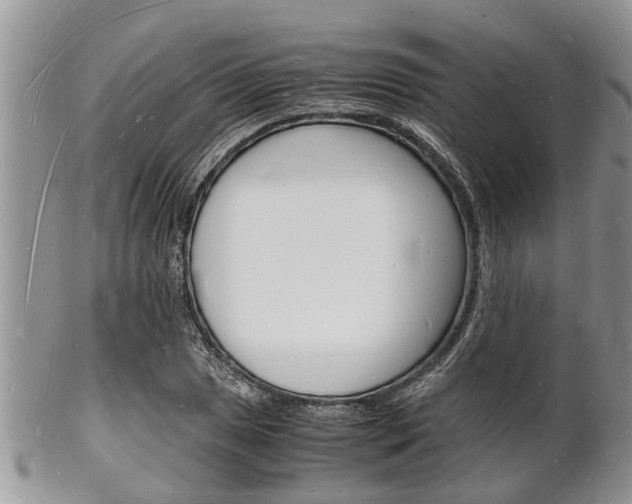 X0000102781025200808180926