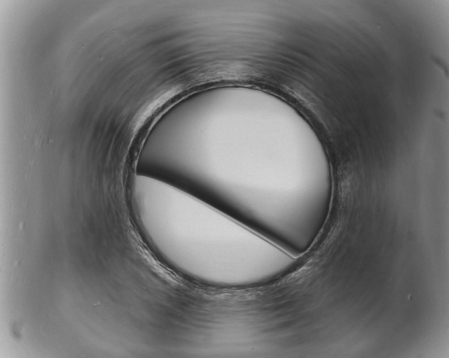 X0000102781026200808180926