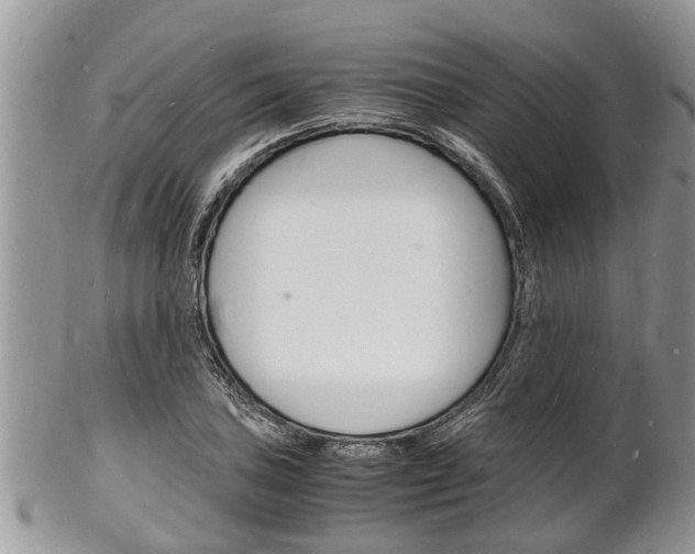 X0000102781027200808180926