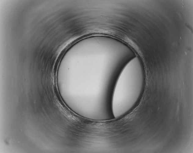 X0000102781028200808180926