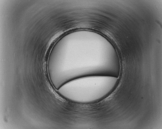 X0000102781029200808180926