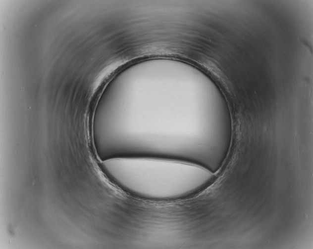 X0000102781030200808180926