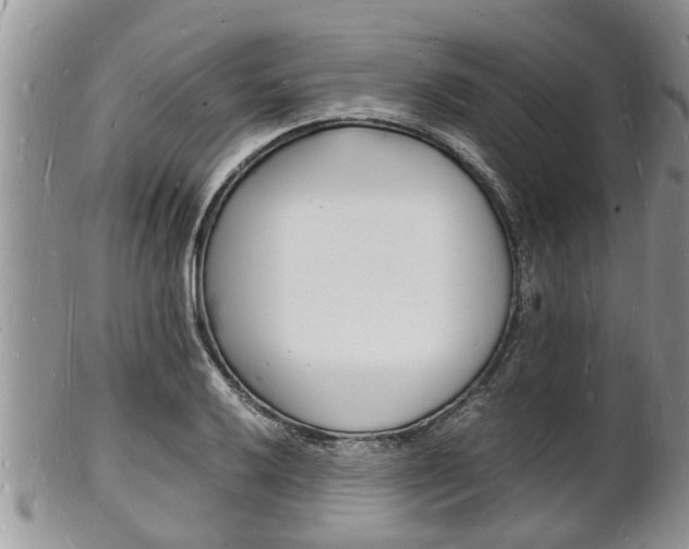 X0000102781032200808180926