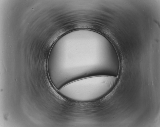 X0000102781033200808180926
