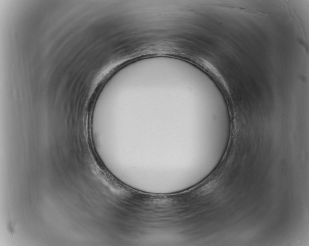 X0000102781035200808180926