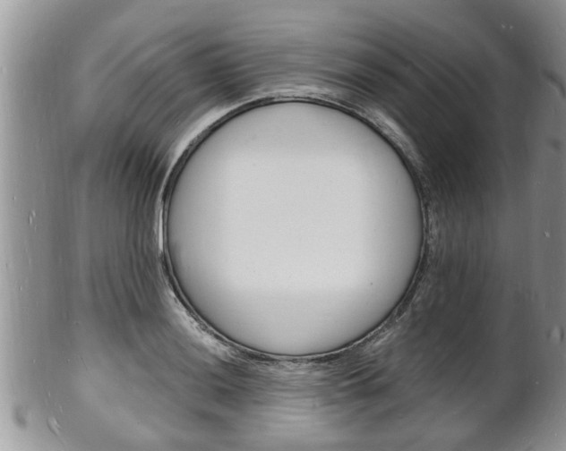 X0000102781036200808180927