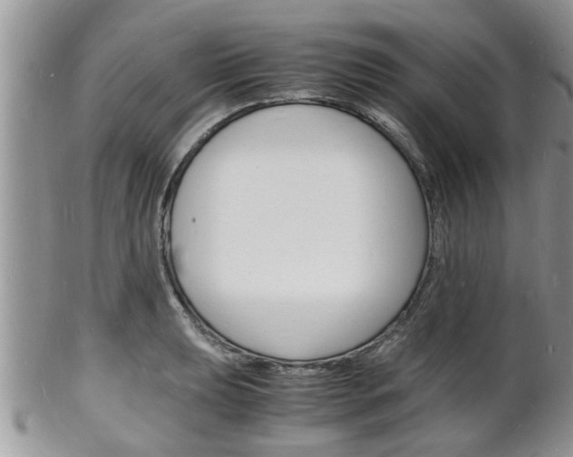 X0000102781039200808180927