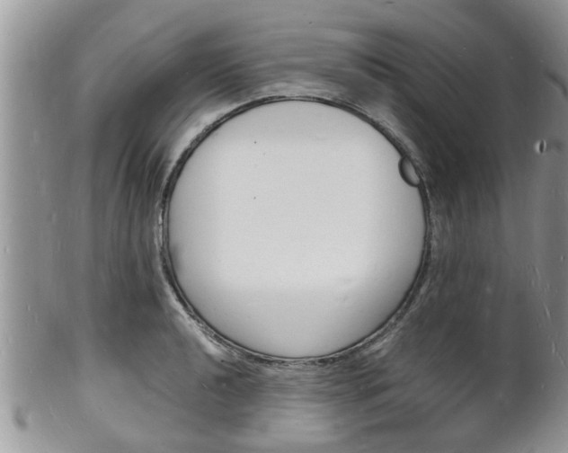 X0000102781040200808180927