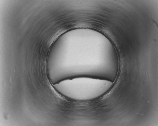 X0000102781041200808180927