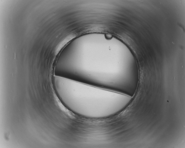 X0000102781042200808180927