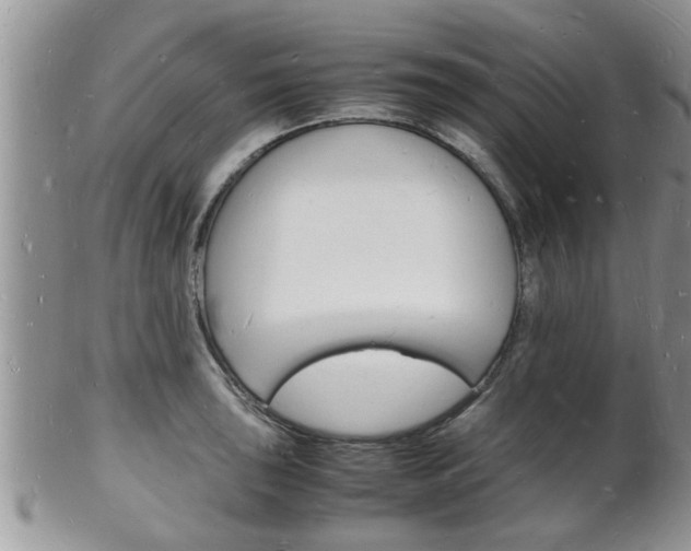 X0000102781043200808180927
